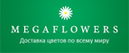 MEGAFLOWERS
